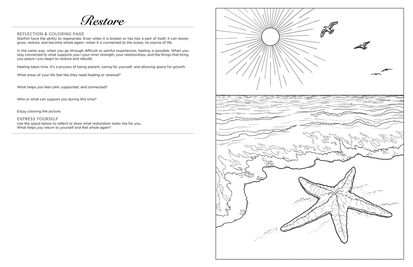 Pointe of Balance - Full Case (75)
